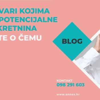 blog annex č